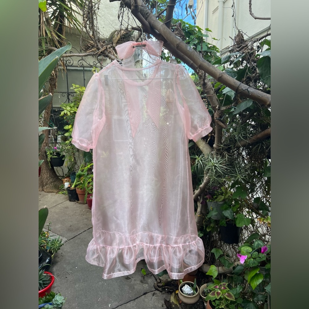 Sheer pink dress